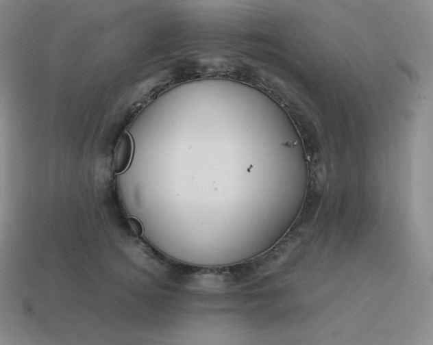 X0000113910756200910081849