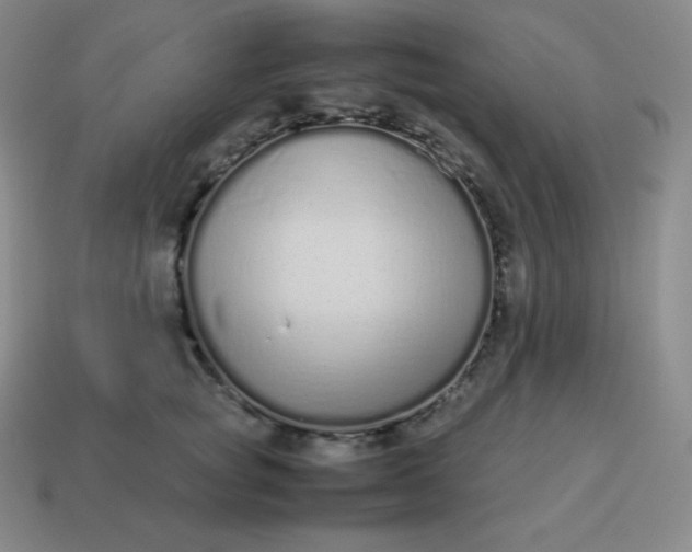 X0000113910757200910081849