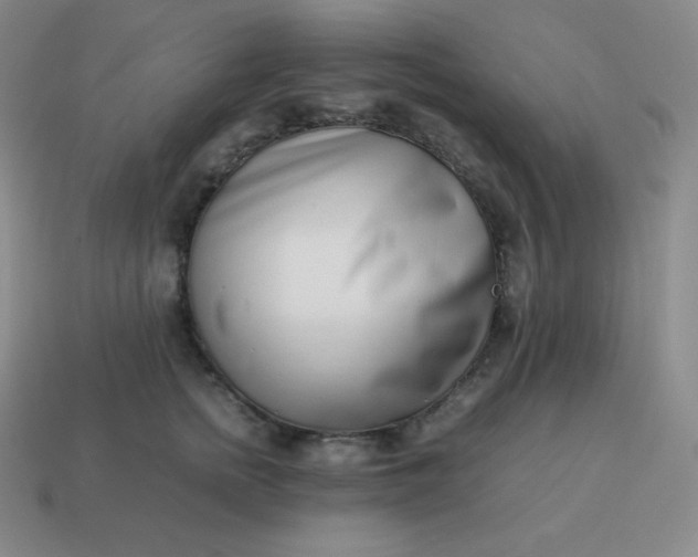 X0000113910758200910081850