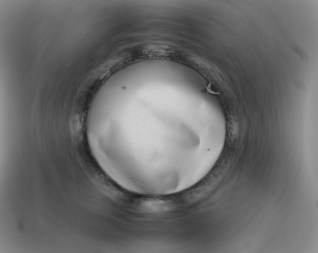 X0000113910759200910081850