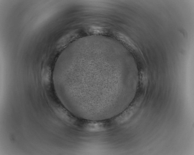 X0000113910760200910081850