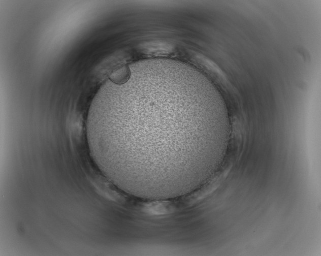 X0000113910761200910081850