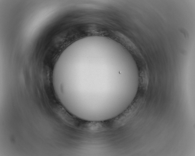 X0000113910762200910081850