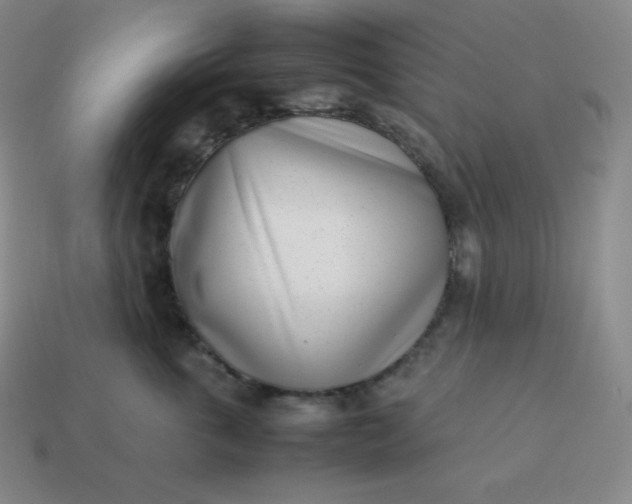 X0000113910763200910081850