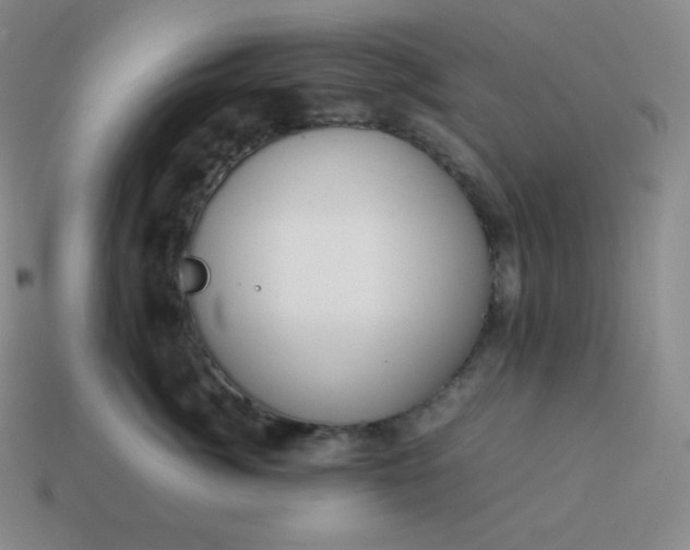 X0000113910764200910081850