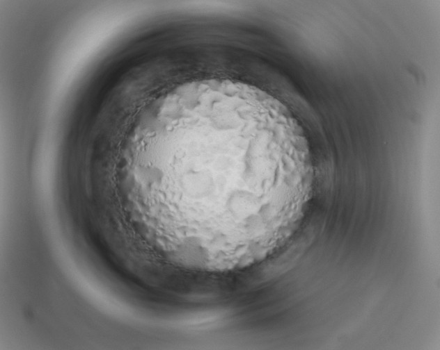 X0000113910765200910081850