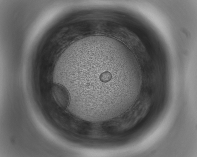 X0000113910766200910081850