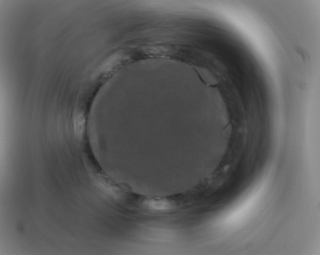 X0000113910767200910081850