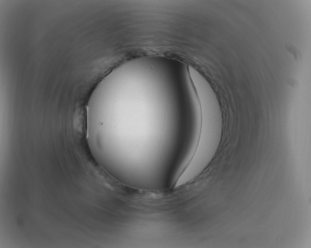 X0000113910768200910081850