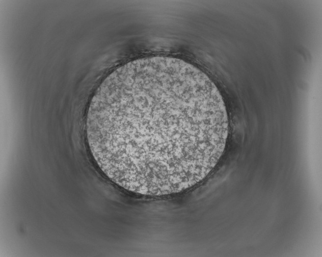 X0000113910769200910081849