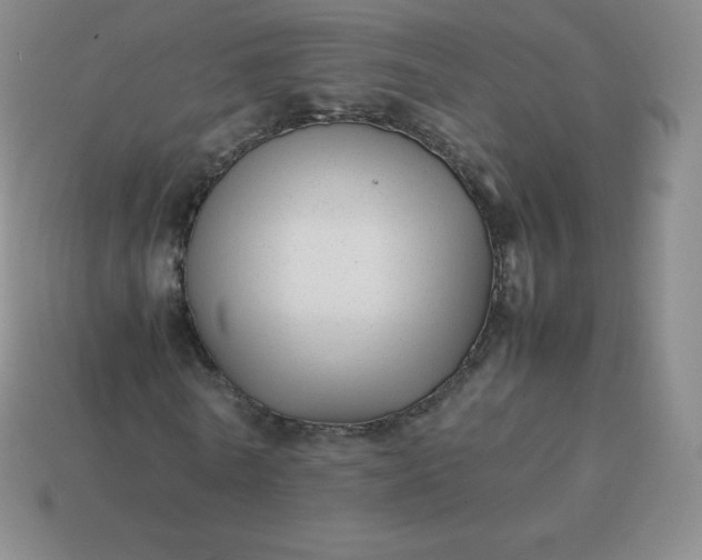 X0000113910770200910081849