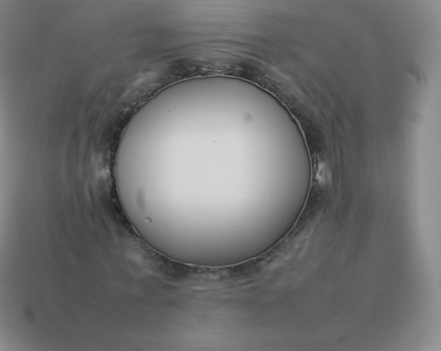 X0000113910771200910081849