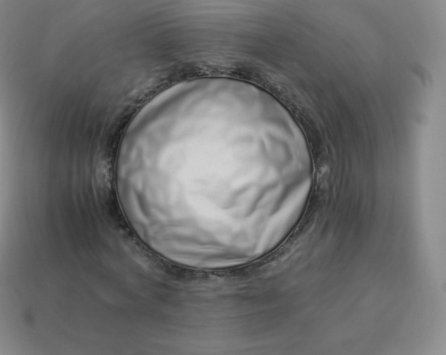 X0000113910772200910081849