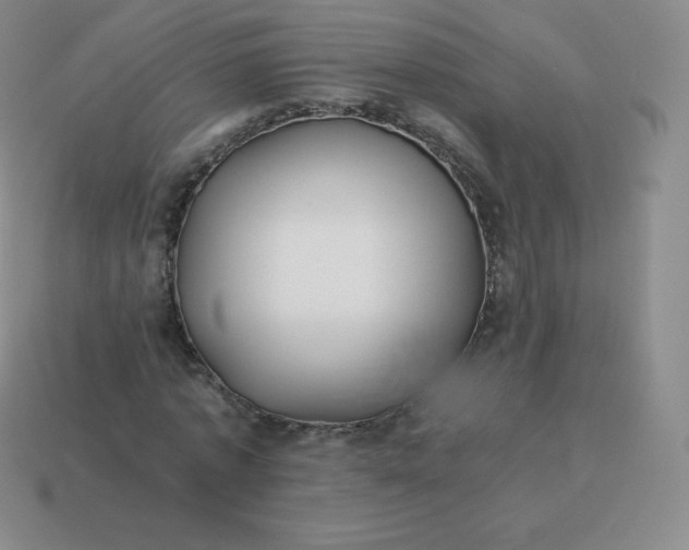 X0000113910773200910081849