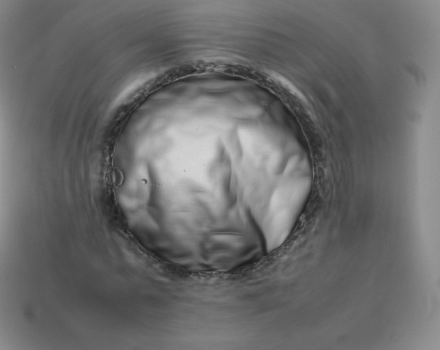 X0000113910775200910081849