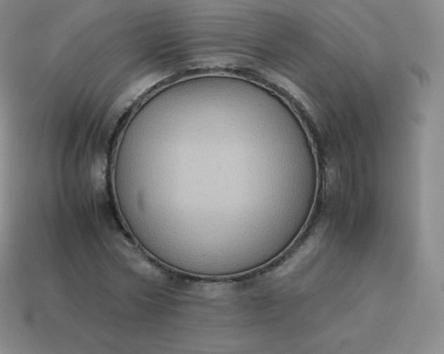 X0000113910778200910081849