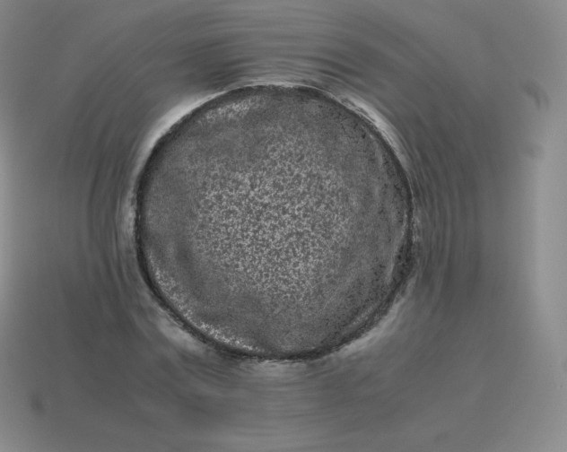 X0000113910779200910081849