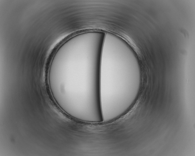 X0000113910780200910081849