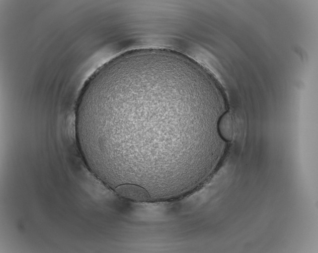 X0000113910781200910081849