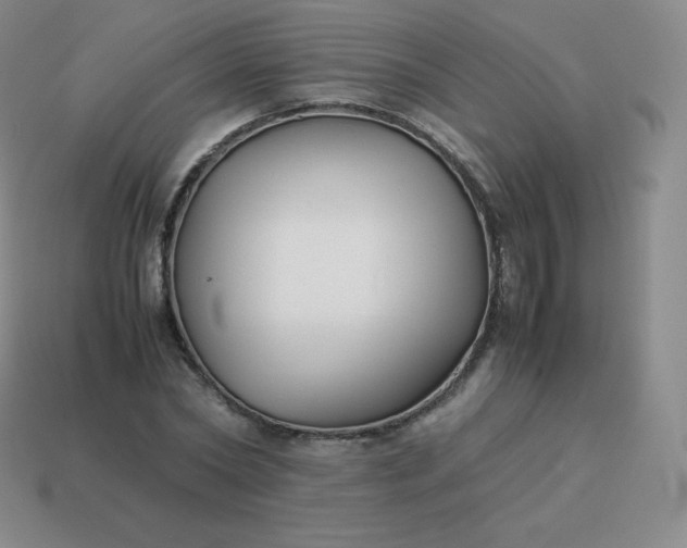 X0000113910782200910081849