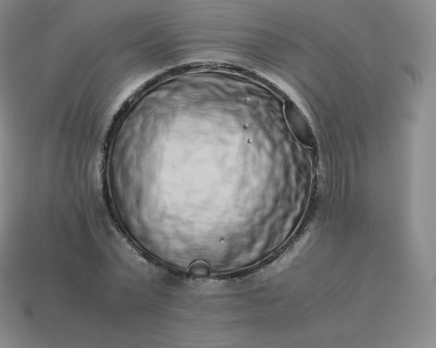 X0000113910783200910081849