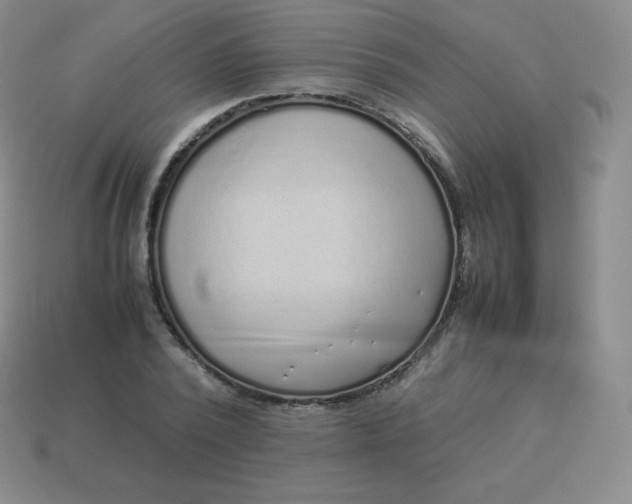 X0000113910784200910081849