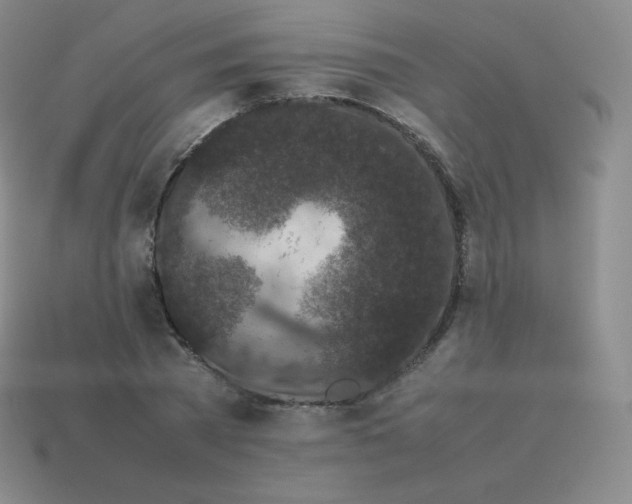 X0000113910785200910081849