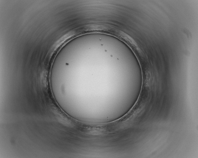 X0000113910786200910081849