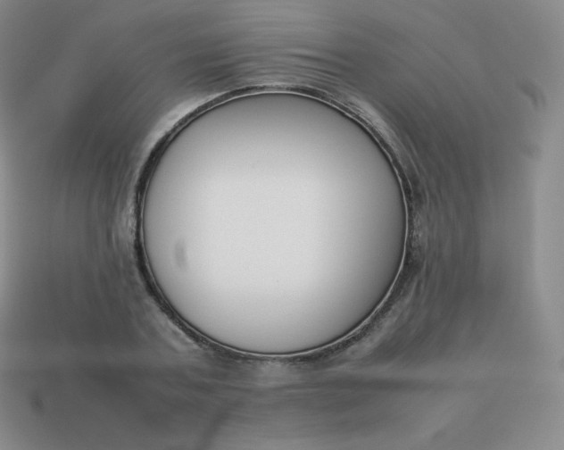 X0000113910787200910081849