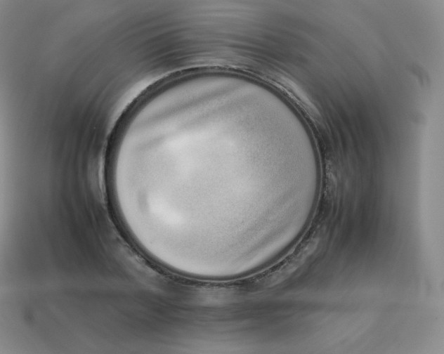 X0000113910788200910081849