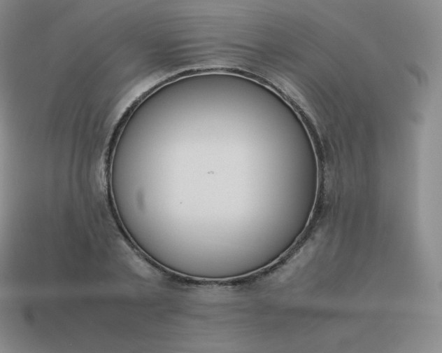 X0000113910789200910081849