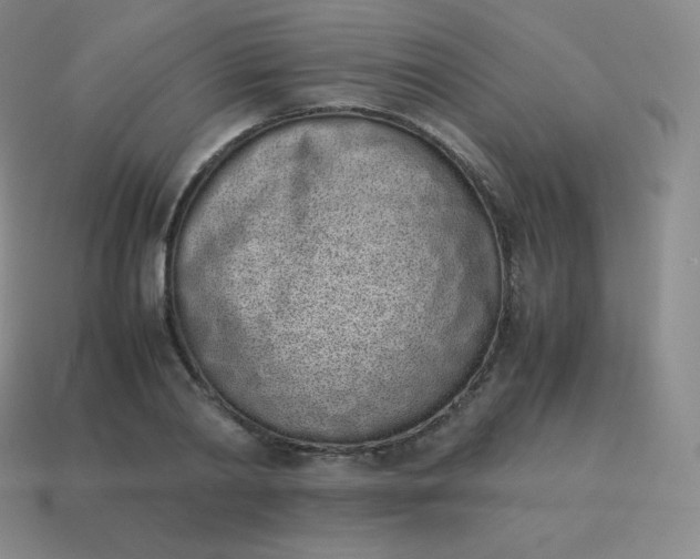 X0000113910790200910081849