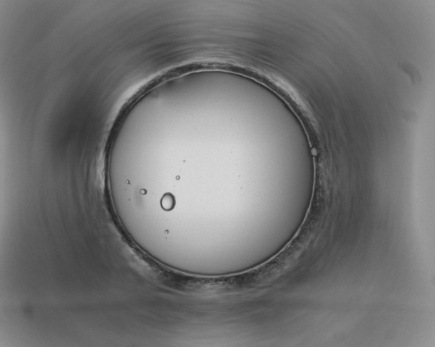 X0000113910791200910081849