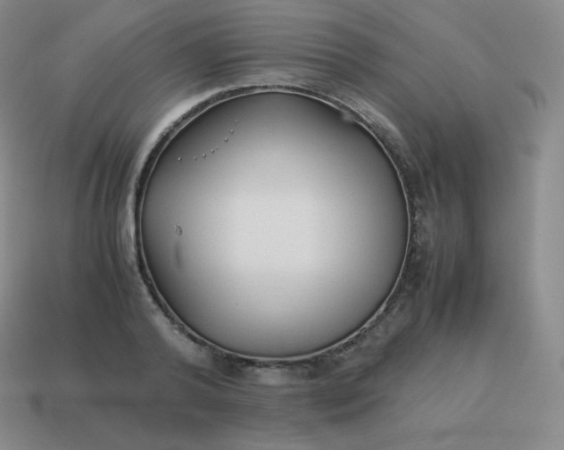 X0000113910792200910081849