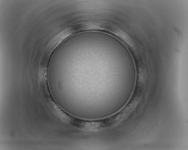 X0000113910793200910081849