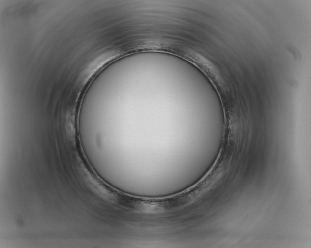 X0000113910794200910081849