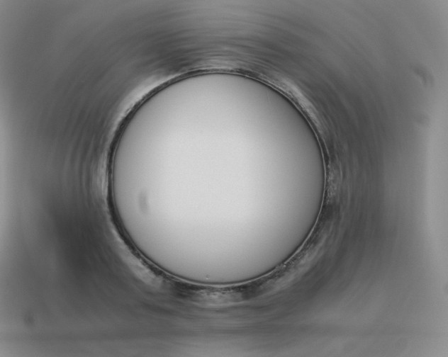 X0000113910795200910081849