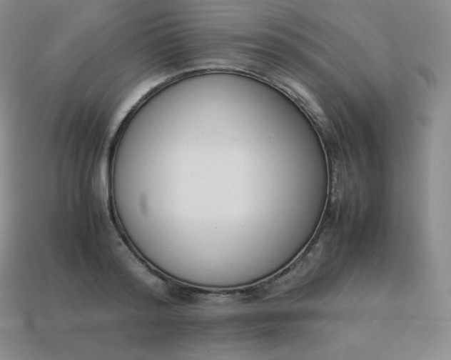 X0000113910796200910081848