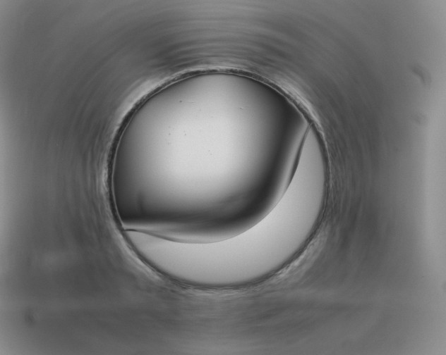 X0000113910797200910081848