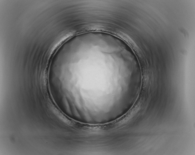 X0000113910798200910081848