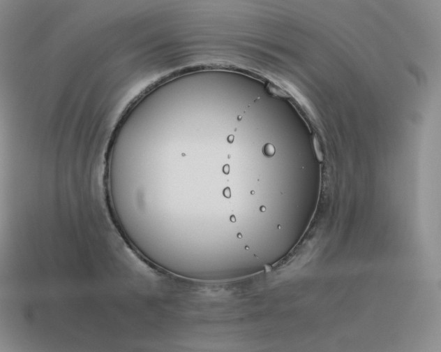 X0000113910799200910081848