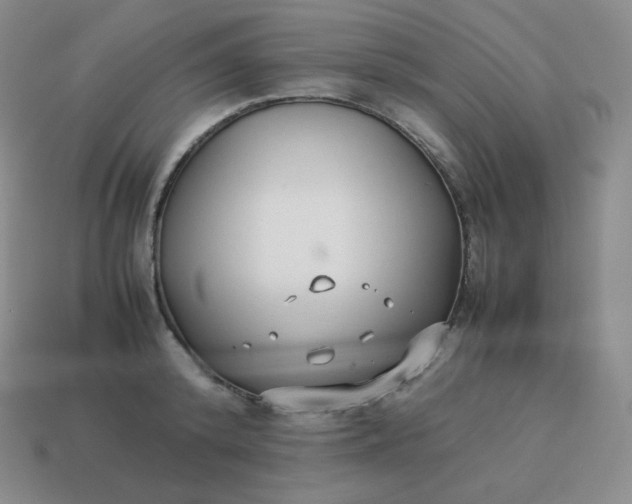 X0000113910800200910081848