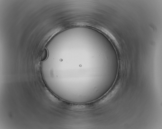 X0000113910801200910081848