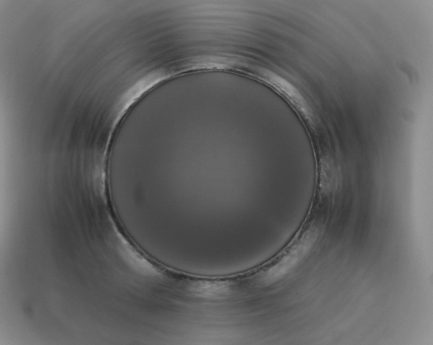 X0000113910802200910081848