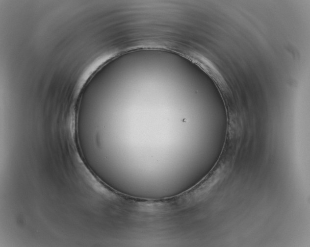 X0000113910804200910081848