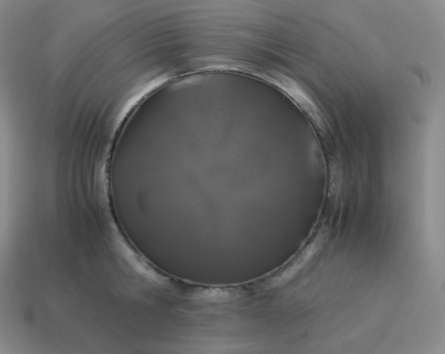 X0000113910806200910081848