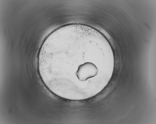 X0000113910807200910081848