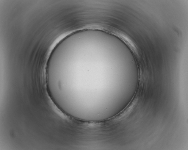 X0000113910808200910081848