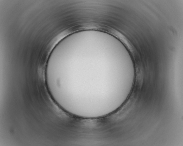 X0000113910810200910081848