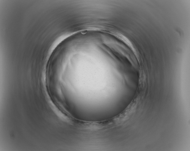 X0000113910811200910081848